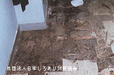 鉄筋コンクリート校舎の床板の被害
